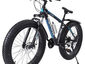 Fat Tire Bikes for Men, 26 Inch Mountain and Snow Cross-Country Bike, 21 Speed 4.0 Tires, Professional Disc Brakes, with Water Bottle (26in, Black)