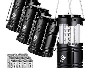 Etekcity Lantern Camping Lantern Battery Powered Lights for Power Outages, Home Emergency, Camping, Hiking, Hurricane, A Must Have Camping Accessories, Portable & Lightweight, Batteries Included